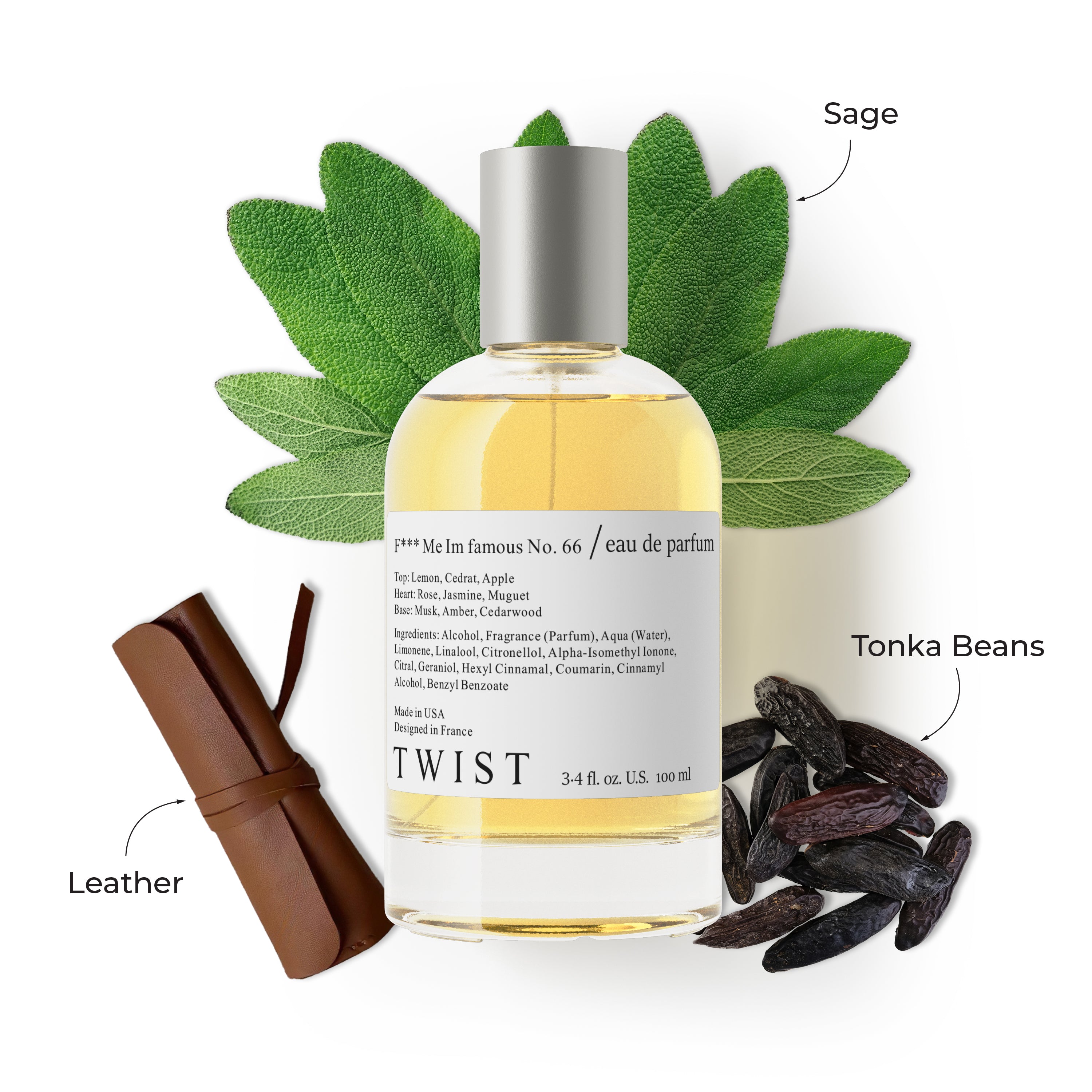 F*** Me I'm Famous No. 66